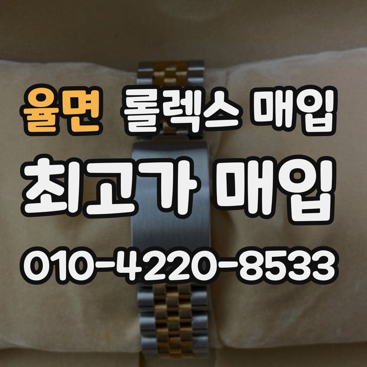 율면 롤렉스 매입