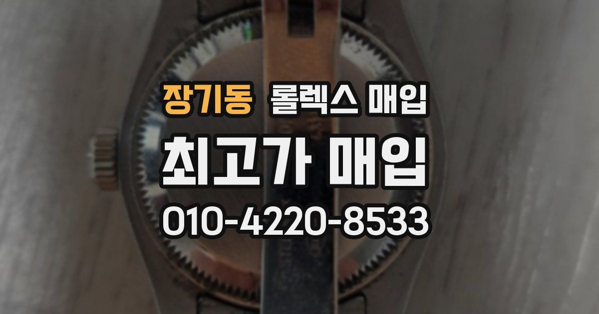 장기동 롤렉스 매입