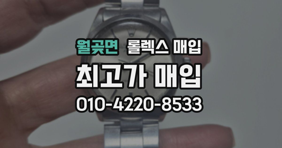 월곶면 롤렉스 매입