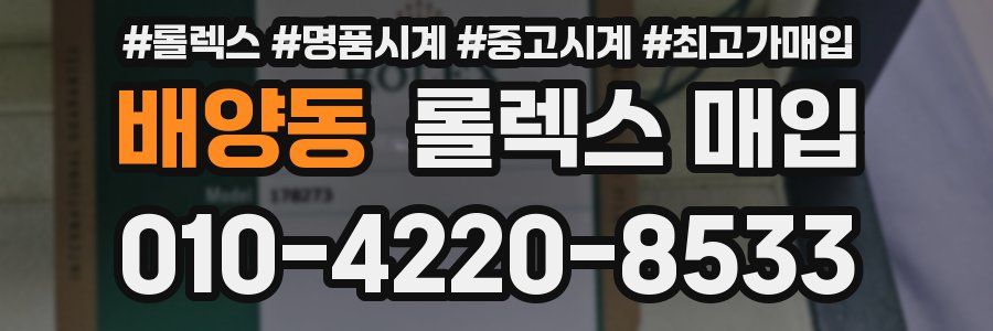 배양동 롤렉스 매입