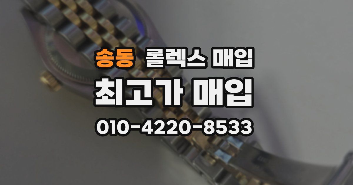 송동 롤렉스 매입