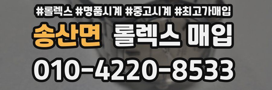 송산면 롤렉스 매입