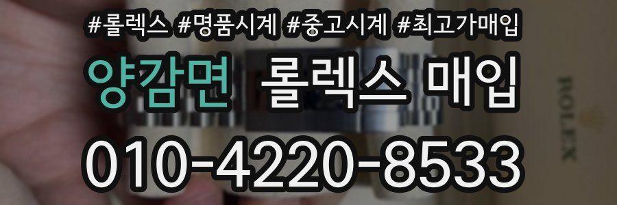 양감면 롤렉스 매입