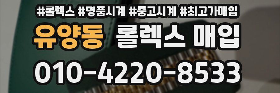 유양동 롤렉스 매입