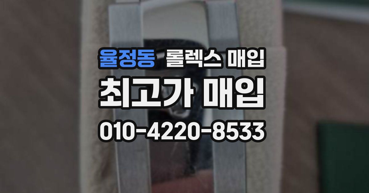 율정동 롤렉스 매입