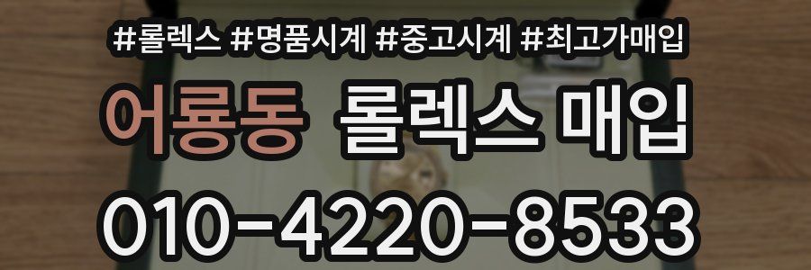 어룡동 롤렉스 매입