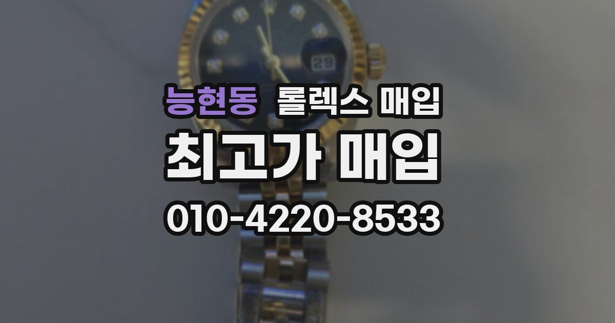 능현동 롤렉스 매입