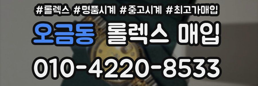 오금동 롤렉스 매입