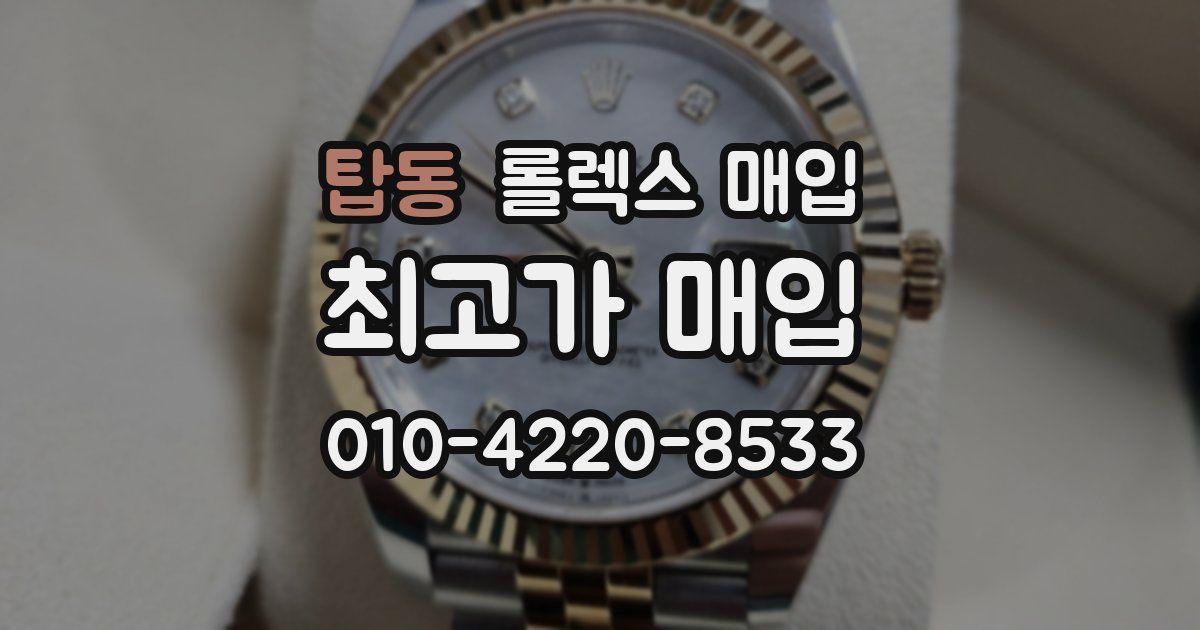 탑동 롤렉스 매입
