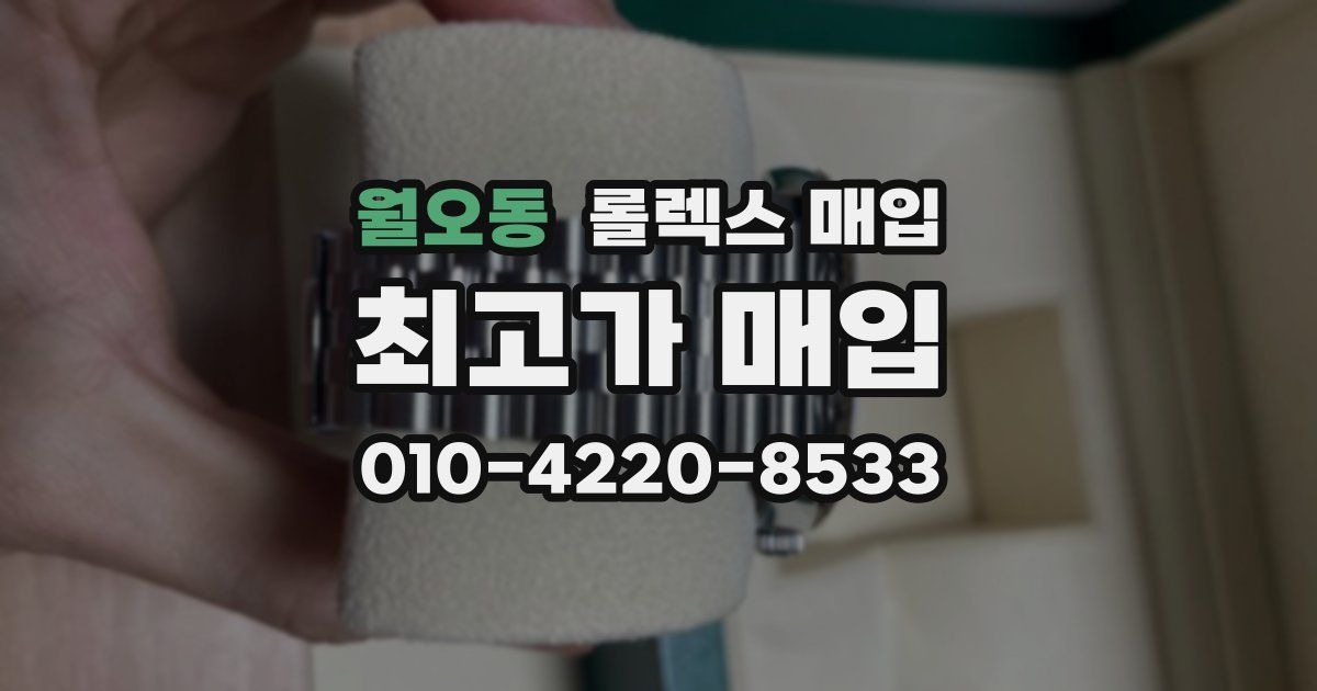 월오동 롤렉스 매입