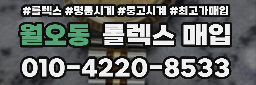 월오동 롤렉스 매입