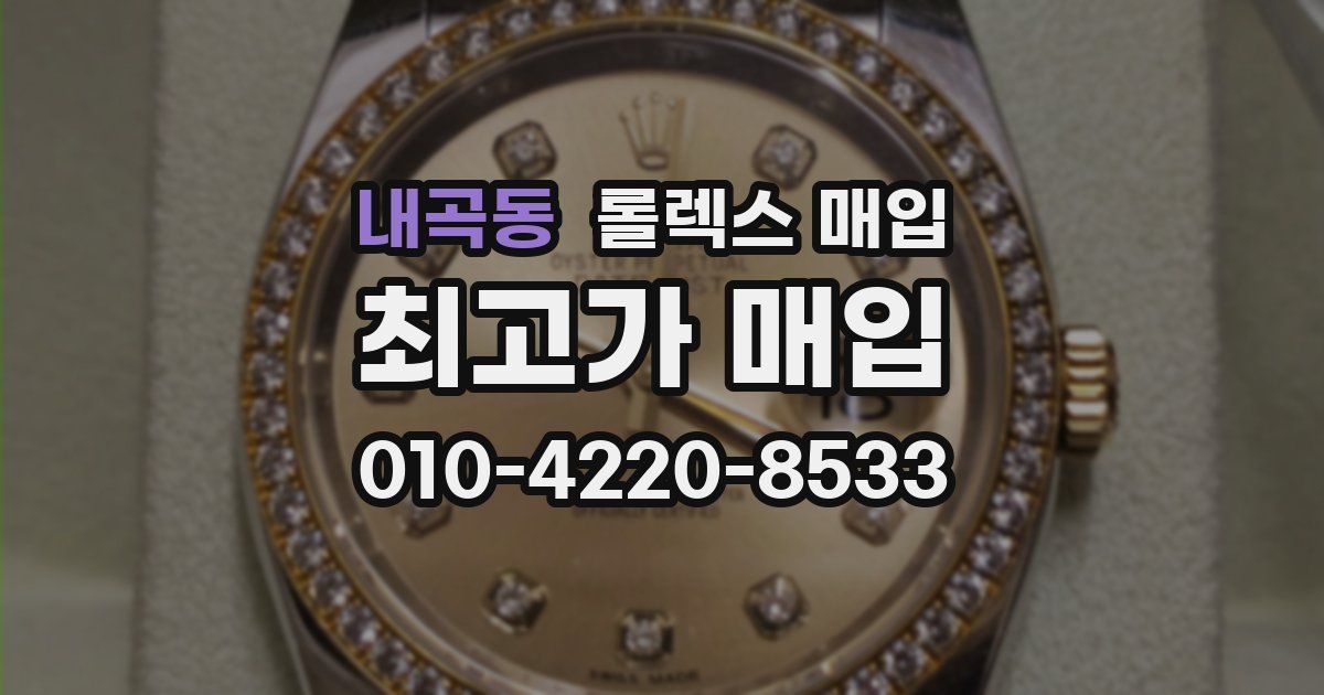 내곡동 롤렉스 매입
