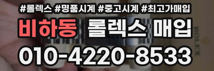 비하동 롤렉스 매입