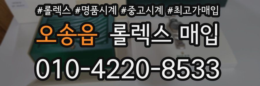 오송읍 롤렉스 매입