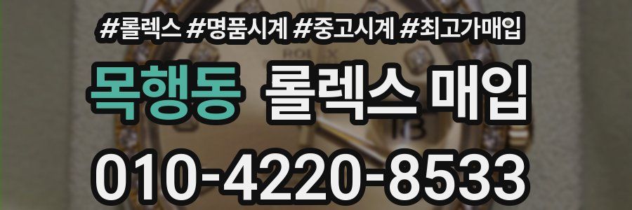 목행동 롤렉스 매입