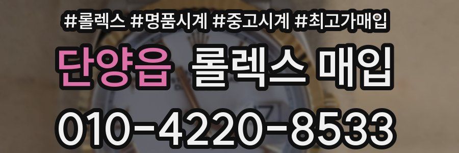단양읍 롤렉스 매입