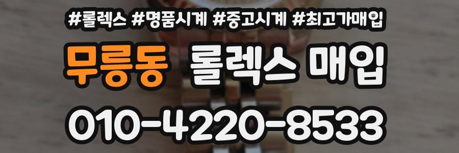 무릉동 롤렉스 매입