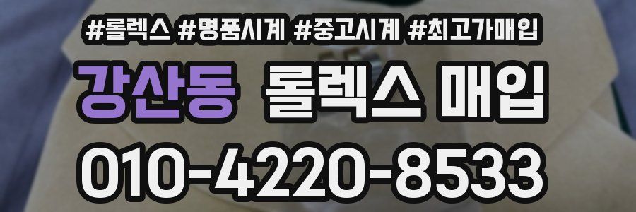 강산동 롤렉스 매입