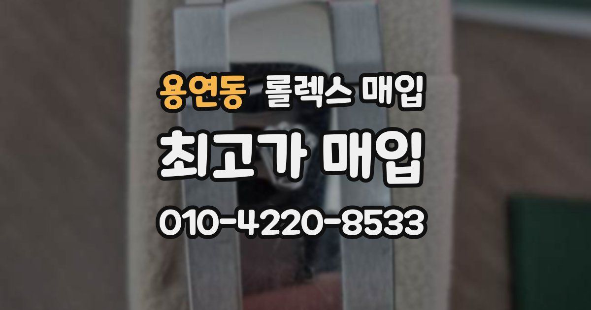 용연동 롤렉스 매입