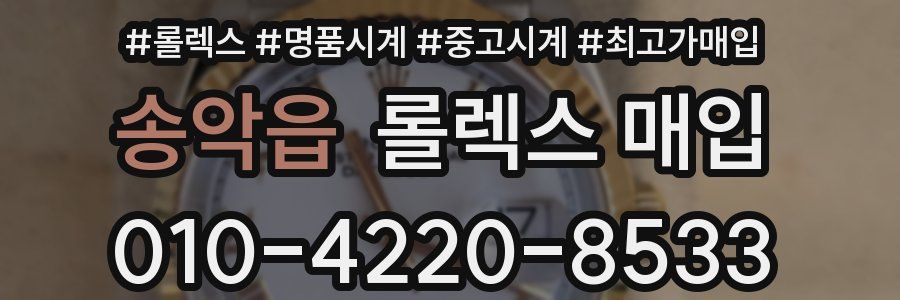 송악읍 롤렉스 매입