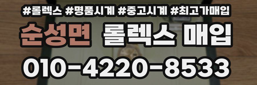 순성면 롤렉스 매입