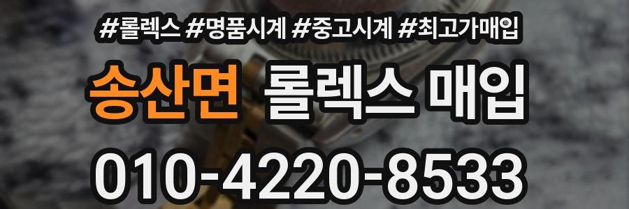 송산면 롤렉스 매입