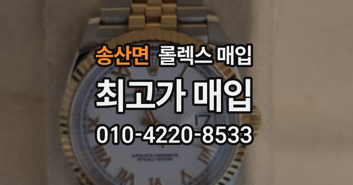 송산면 롤렉스 매입