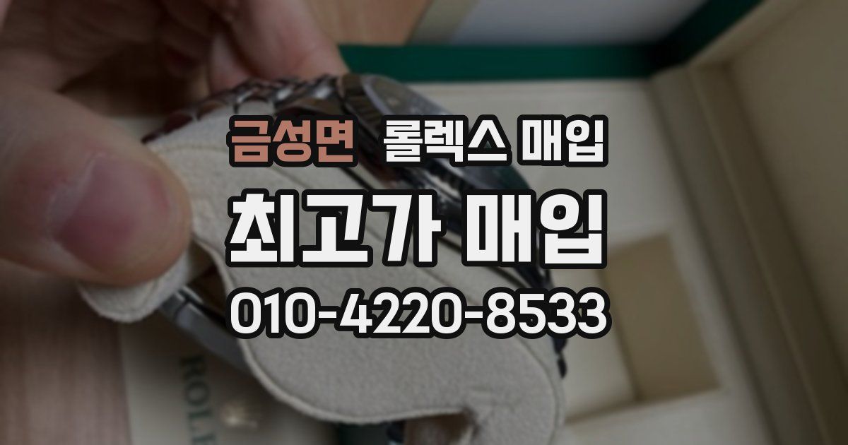 금성면 롤렉스 매입