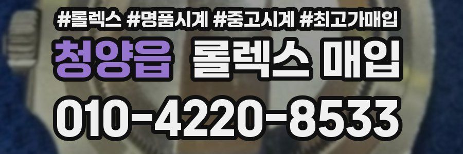 청양읍 롤렉스 매입