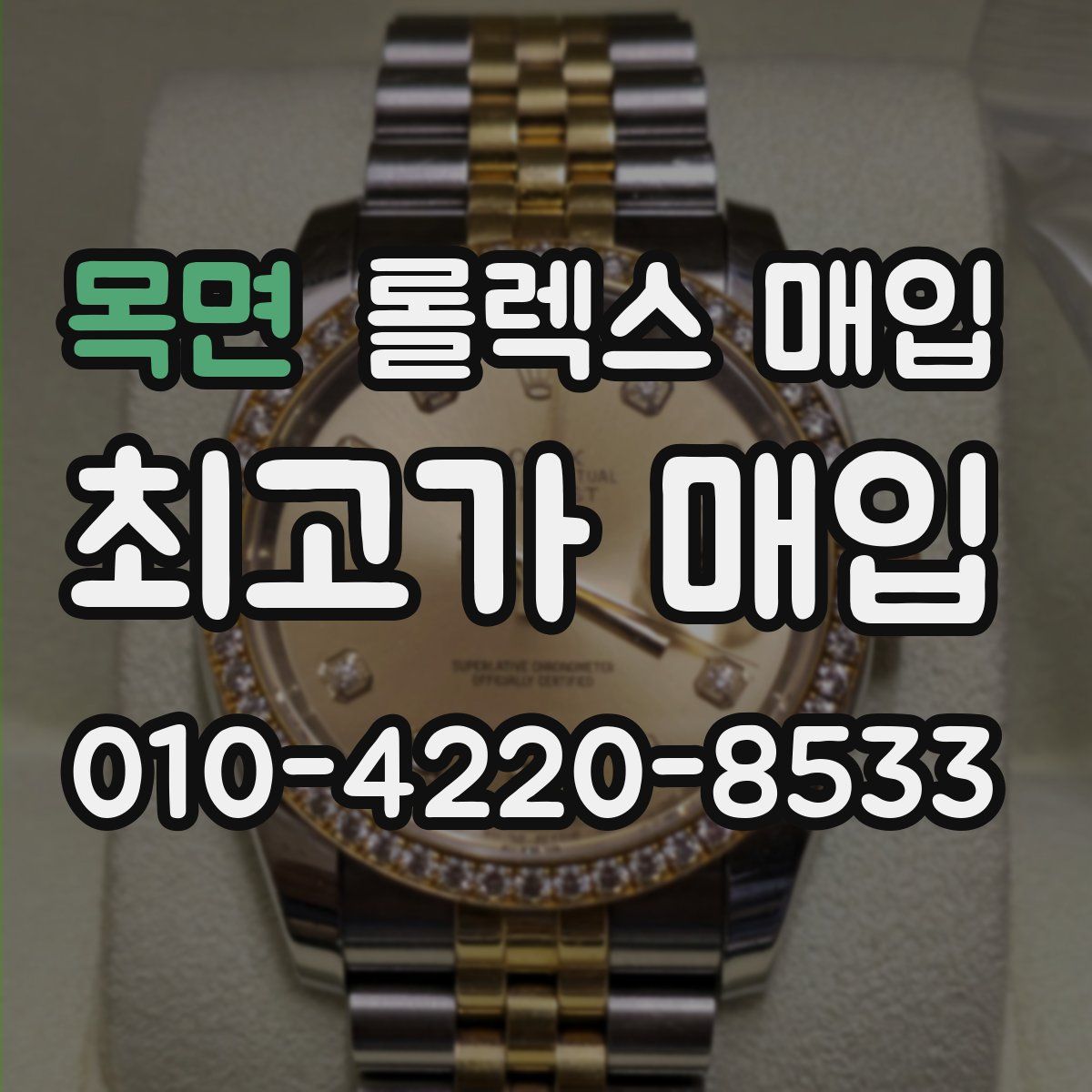 목면 롤렉스 매입