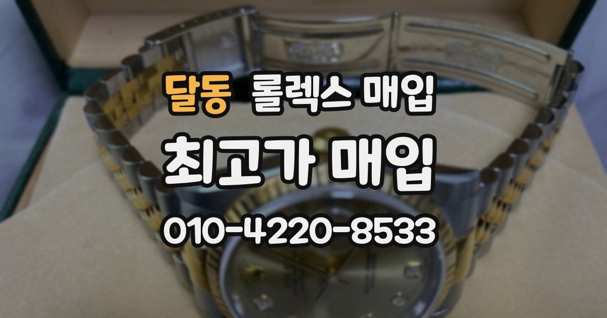 달동 롤렉스 매입