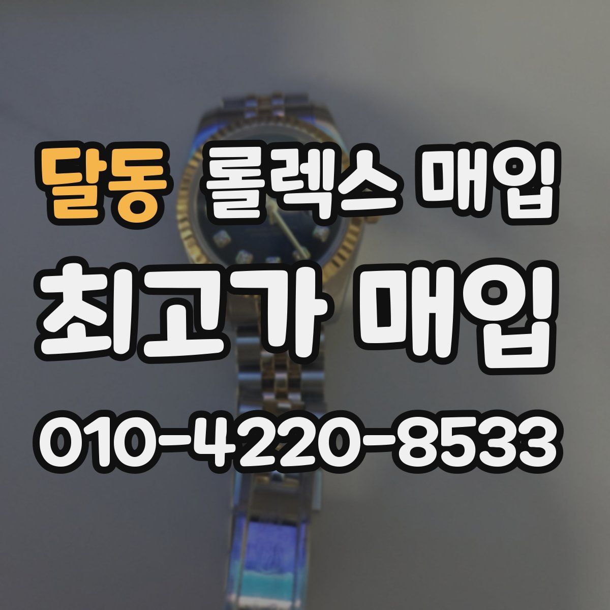 달동 롤렉스 매입