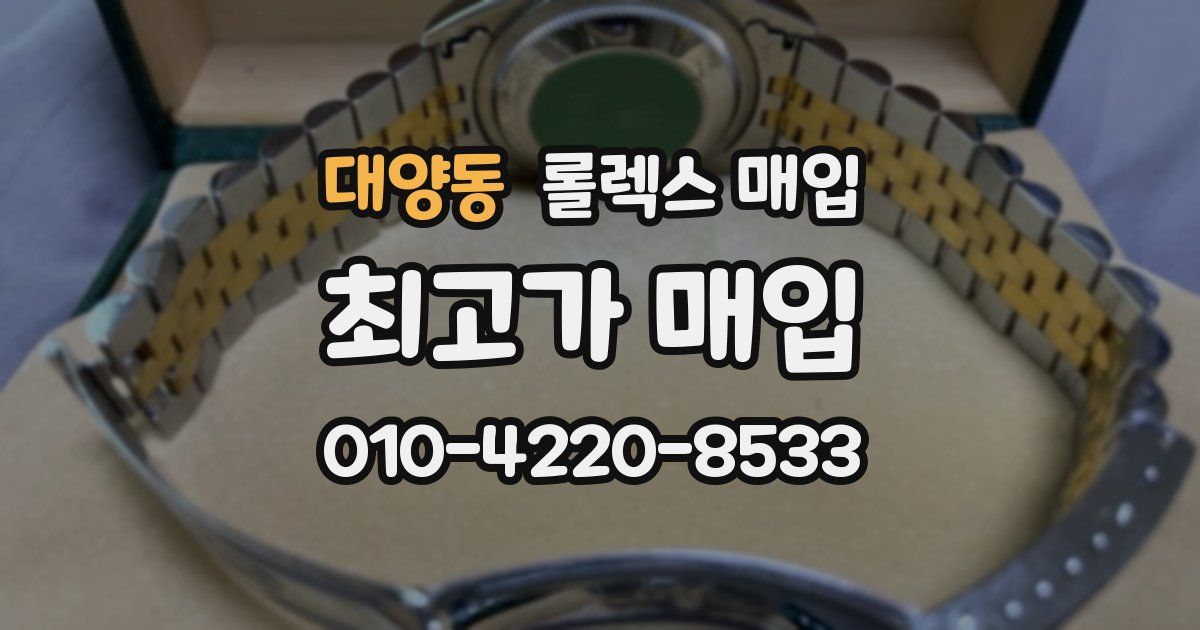 대양동 롤렉스 매입