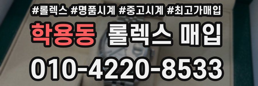 학용동 롤렉스 매입