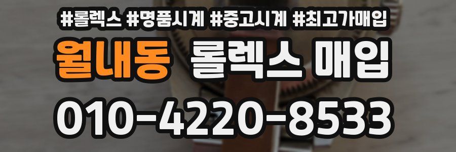 월내동 롤렉스 매입