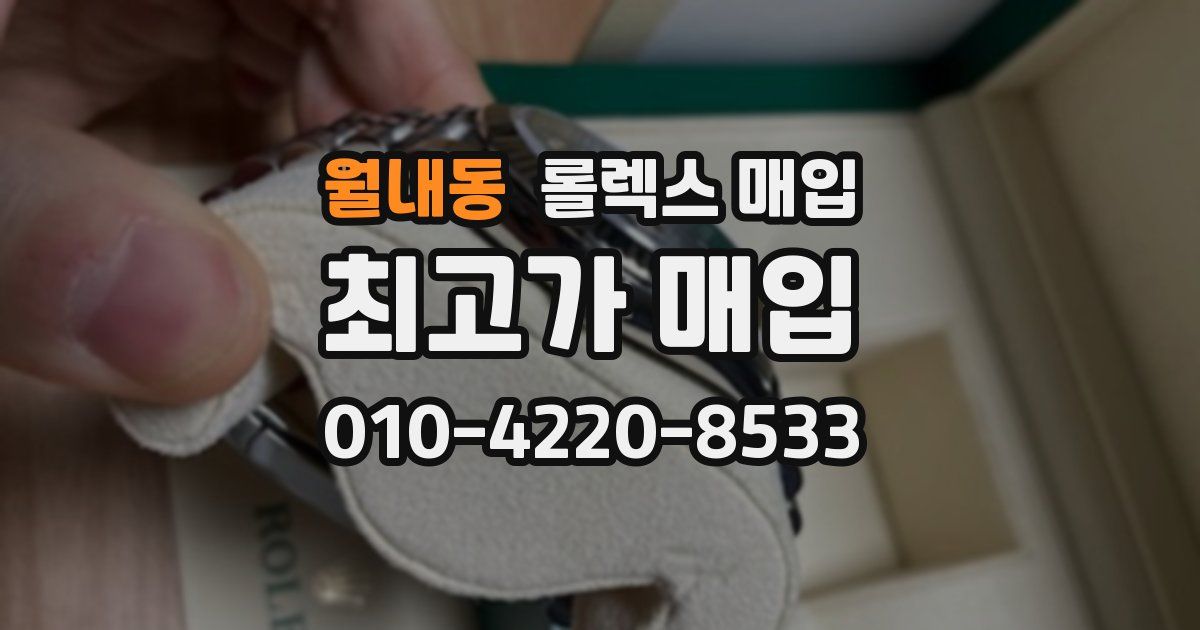 월내동 롤렉스 매입
