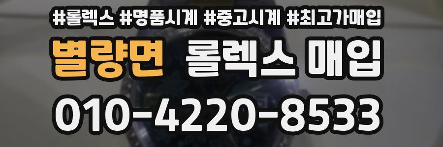 별량면 롤렉스 매입