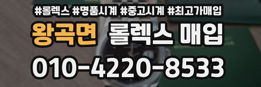 왕곡면 롤렉스 매입
