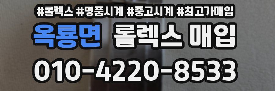 옥룡면 롤렉스 매입