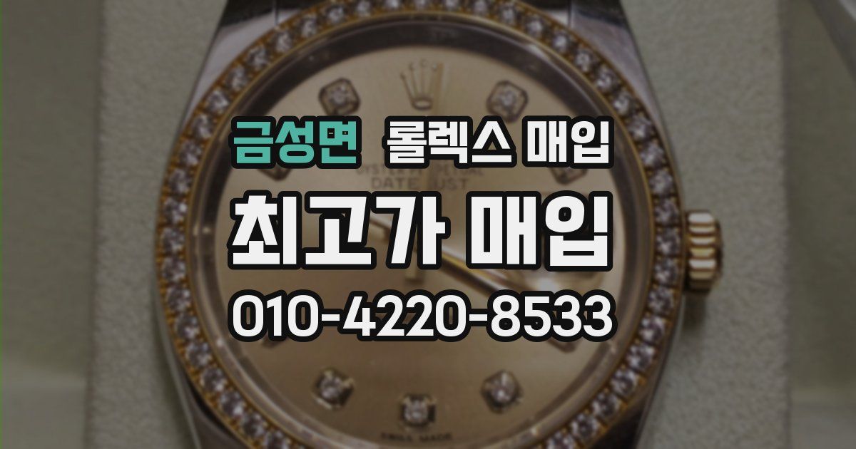 금성면 롤렉스 매입