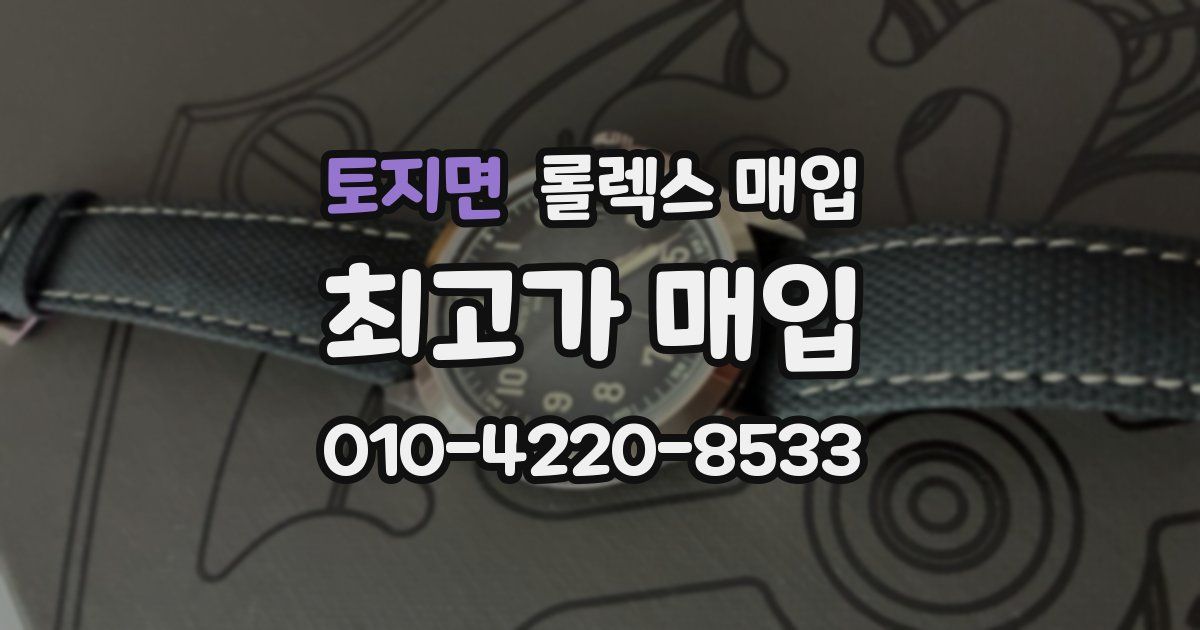 토지면 롤렉스 매입