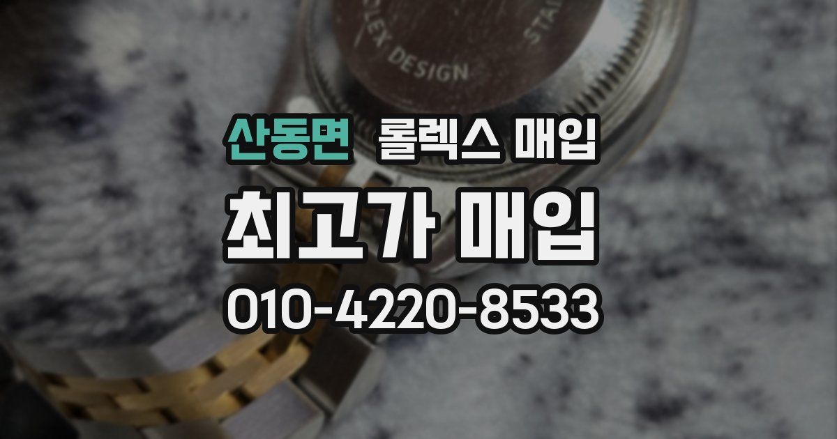 산동면 롤렉스 매입