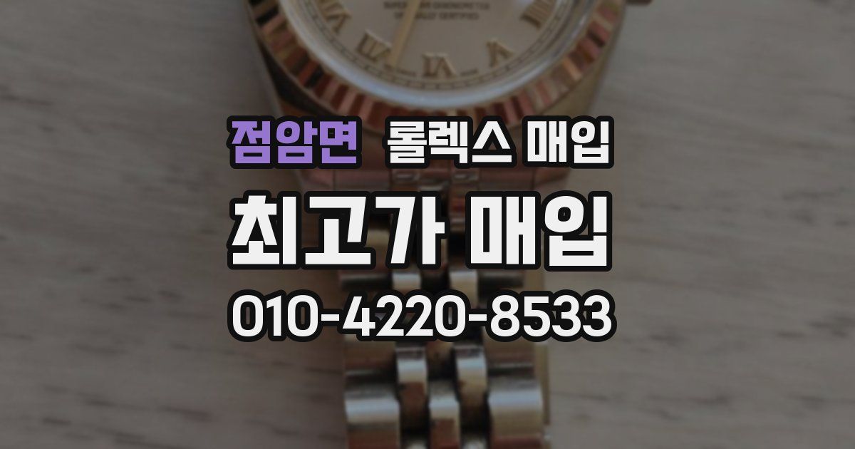 점암면 롤렉스 매입