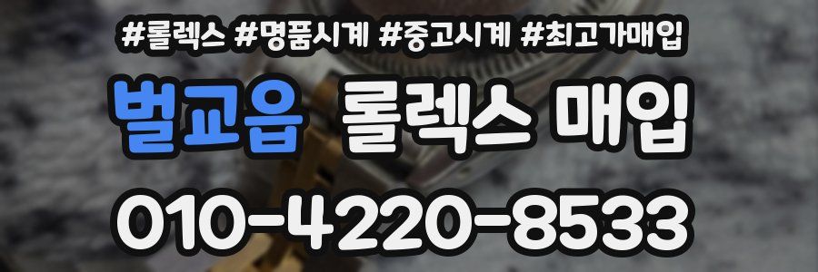 벌교읍 롤렉스 매입