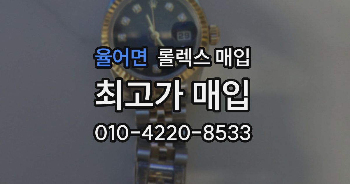 율어면 롤렉스 매입