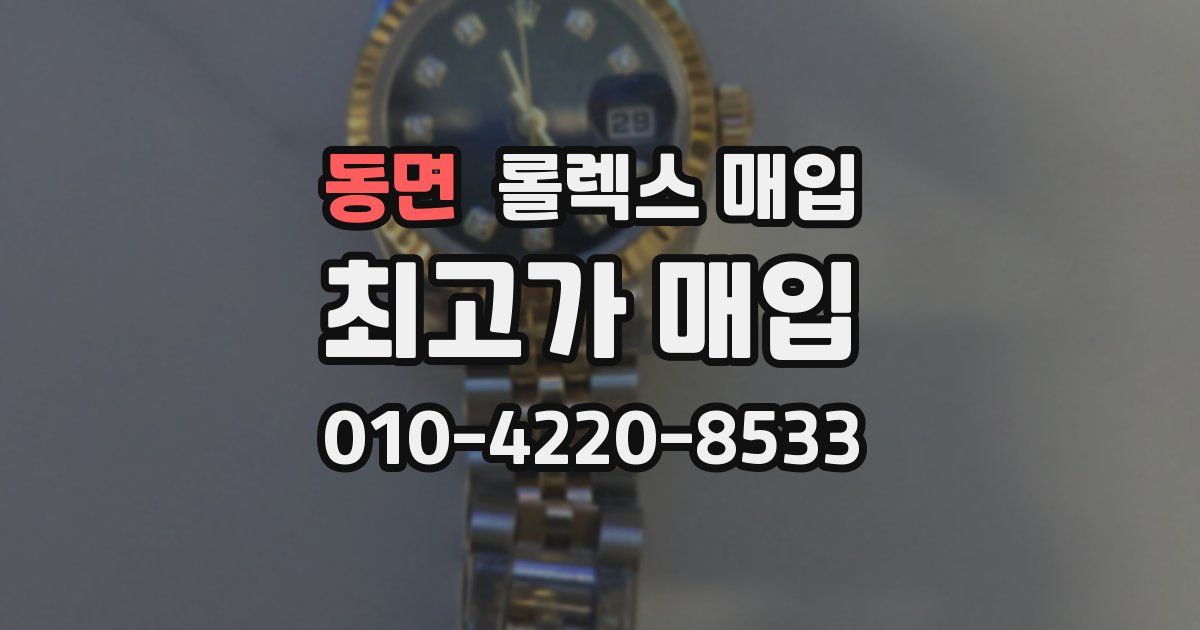 동면 롤렉스 매입