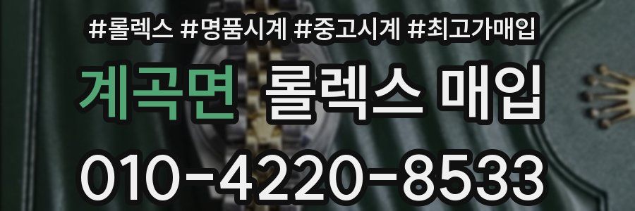 계곡면 롤렉스 매입