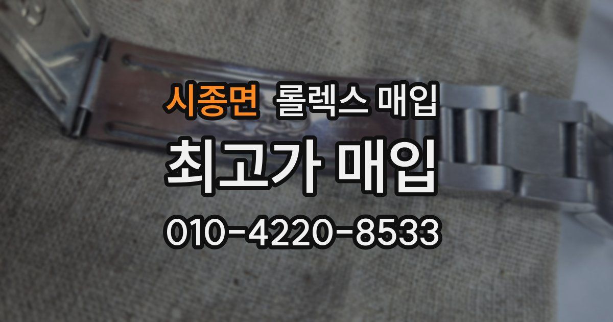 시종면 롤렉스 매입