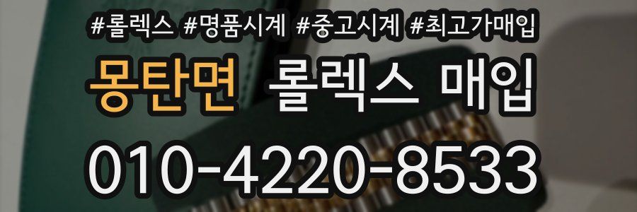 몽탄면 롤렉스 매입