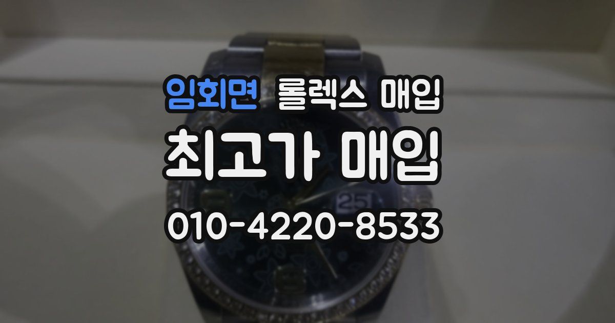 임회면 롤렉스 매입